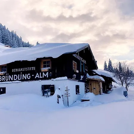 Hotel Bruendling-alm Berggasthof Auf 1167m Auf Dem Hochfelln Bergen (Traunstein)
