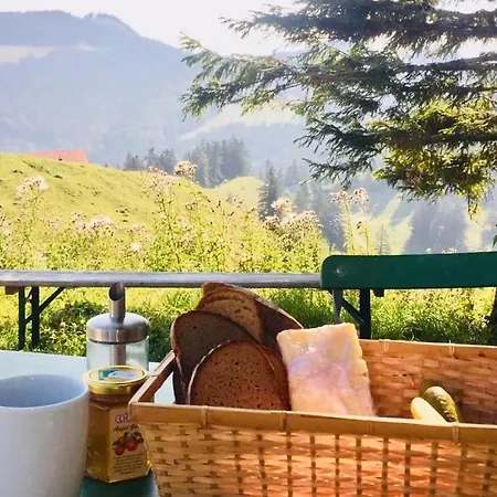 Hotel Bruendling-alm Berggasthof Auf 1167m Auf Dem Hochfelln *